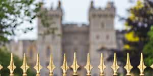 Windsor